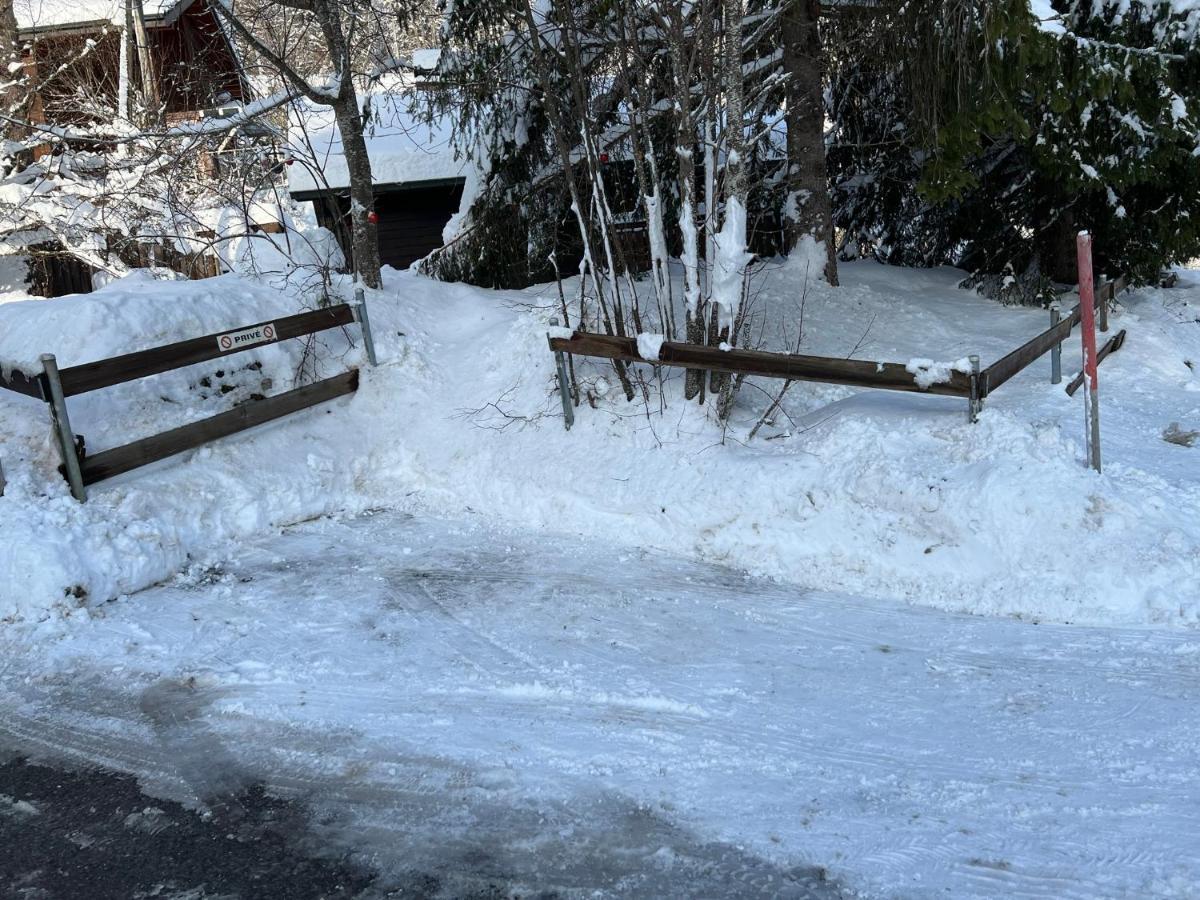 Entire Cozy Chalet In St-Cergue - 30 Min From Geneva Saint-Cergue Exterior photo