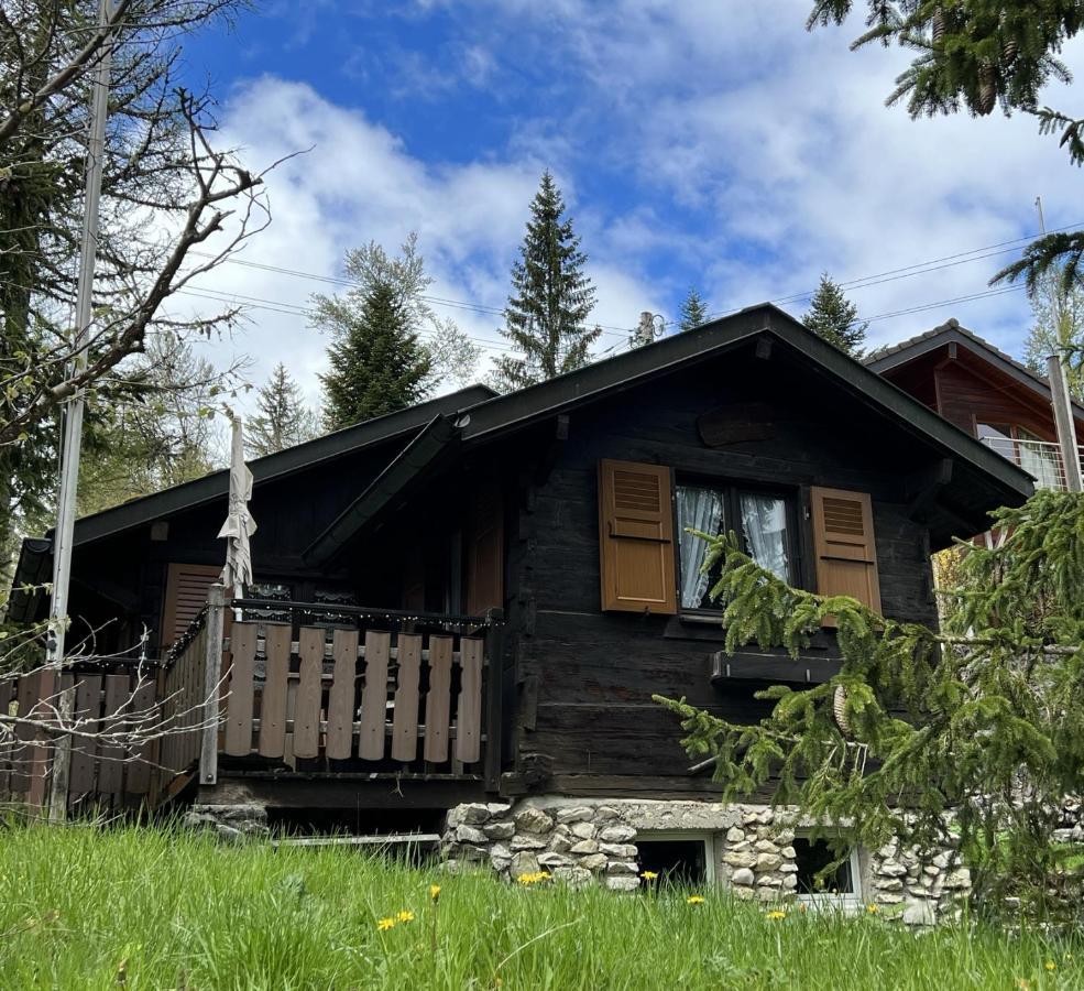 Entire Cozy Chalet In St-Cergue - 30 Min From Geneva Saint-Cergue Exterior photo